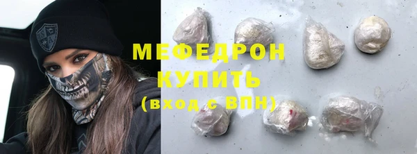 индика Богородицк